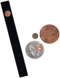 Swagged Coin