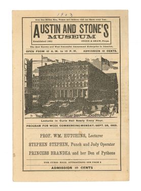 Austin and Stone's Museum Program