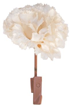 Match to Flower, White Carnation