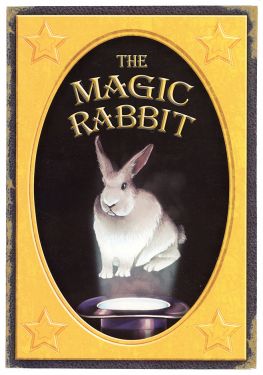 The Magic Rabbit, Transforming Storybook